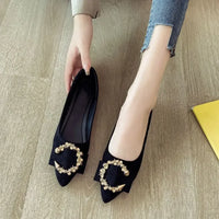Point Toe Flat Slip-Ons