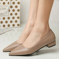 Pointed Toe Low Heel Pump - Update AvenueTrendsi100600441201604100600441201604Pointed Toe Low Heel PumpApricot