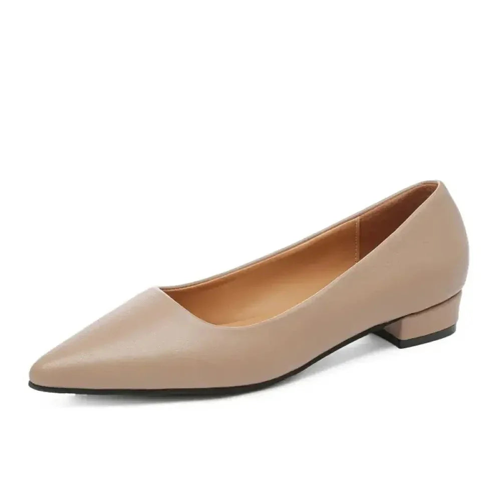 Pointed Toe Low Heel Pump - Update AvenueTrendsi100600441201604100600441201604Pointed Toe Low Heel PumpApricot