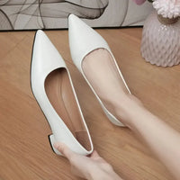 Pointed Toe Low Heel Pump - Update AvenueTrendsi100600441205052100600441205052Pointed Toe Low Heel PumpOff - white