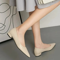 Pointed Toe Low Heel Pump - Update AvenueTrendsi100600441205052100600441205052Pointed Toe Low Heel PumpOff - white