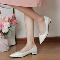 Pointed Toe Low Heel Pump - Update AvenueTrendsi100600441205268100600441205268Pointed Toe Low Heel PumpWhite