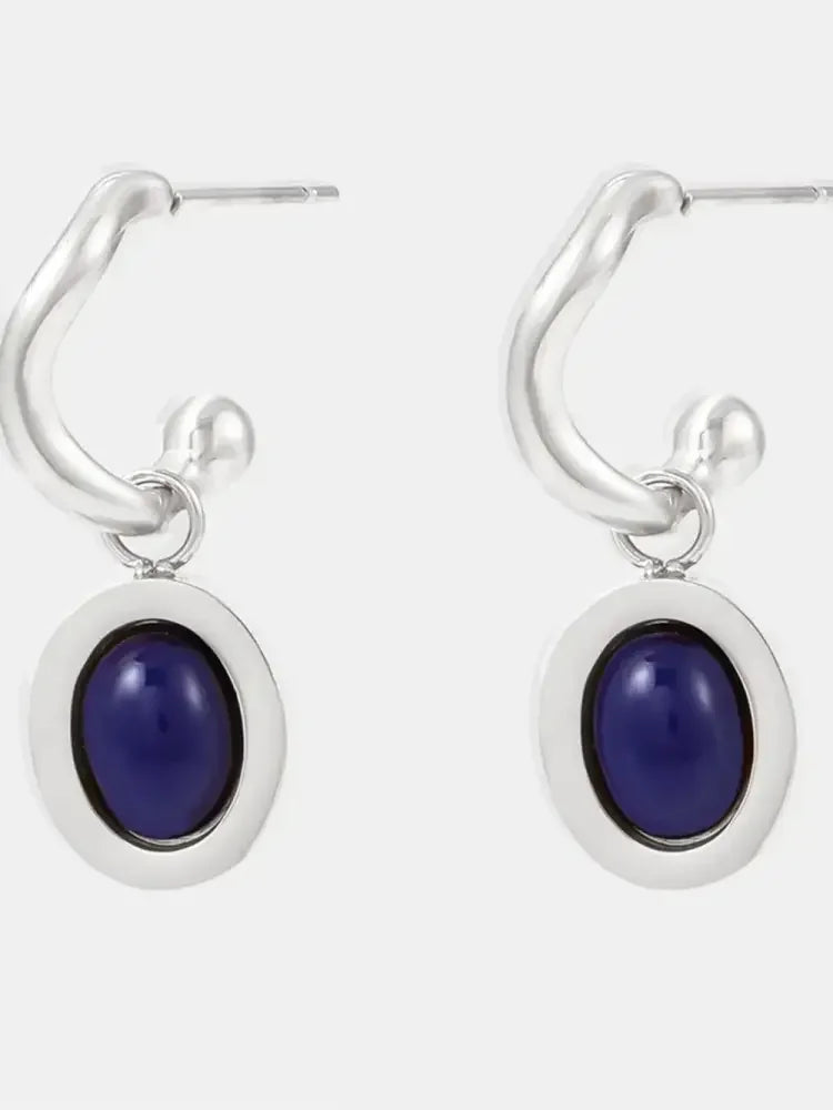 Stainless Steel Oval Drop Earrings